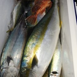 第二龍勢丸 釣果