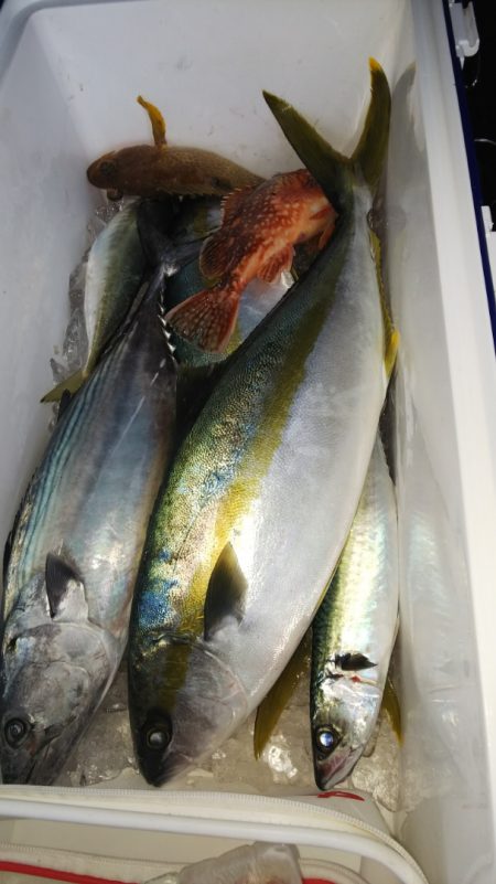 第二龍勢丸 釣果