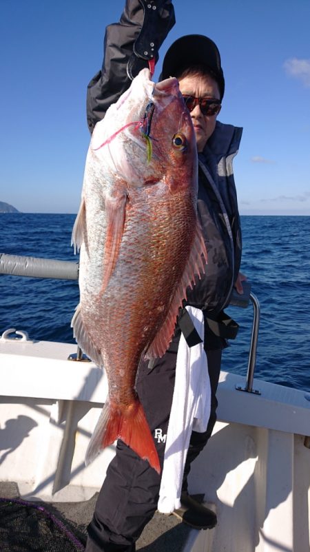 ARCADIAⅡ (アルカディアⅡ) 釣果