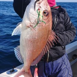 ARCADIAⅡ (アルカディアⅡ) 釣果