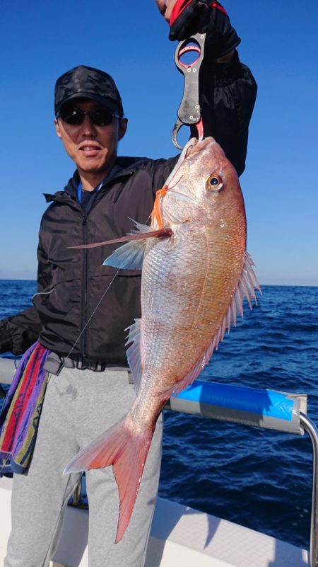 ARCADIAⅡ (アルカディアⅡ) 釣果