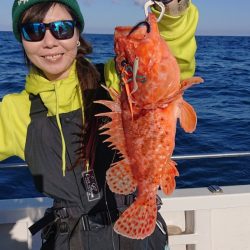 ARCADIAⅡ (アルカディアⅡ) 釣果