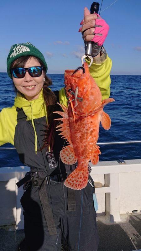 ARCADIAⅡ (アルカディアⅡ) 釣果