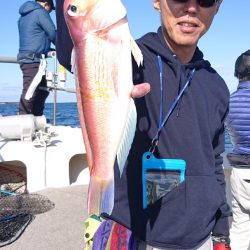 ARCADIAⅡ (アルカディアⅡ) 釣果