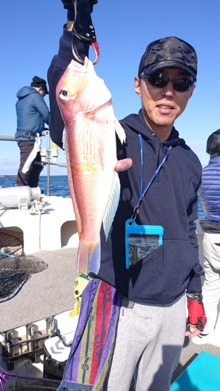 ARCADIAⅡ (アルカディアⅡ) 釣果