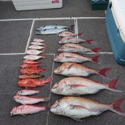 ARCADIAⅡ (アルカディアⅡ) 釣果