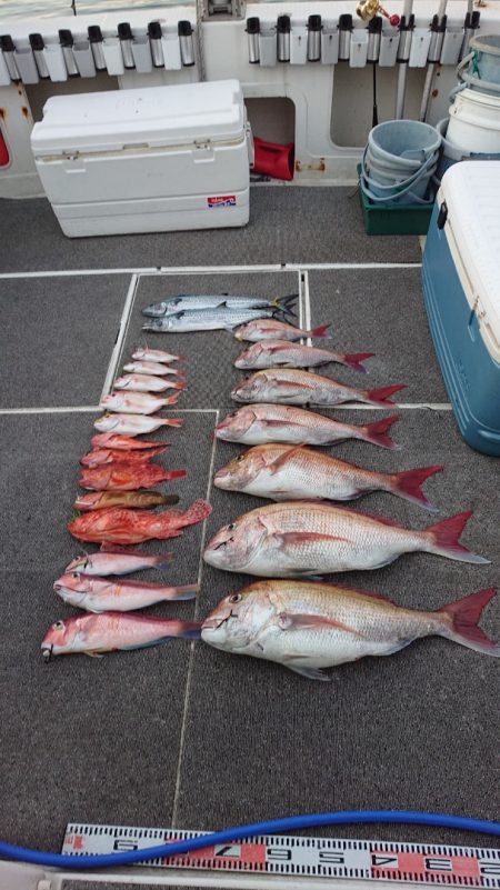 ARCADIAⅡ （アルカディアⅡ） 釣果…