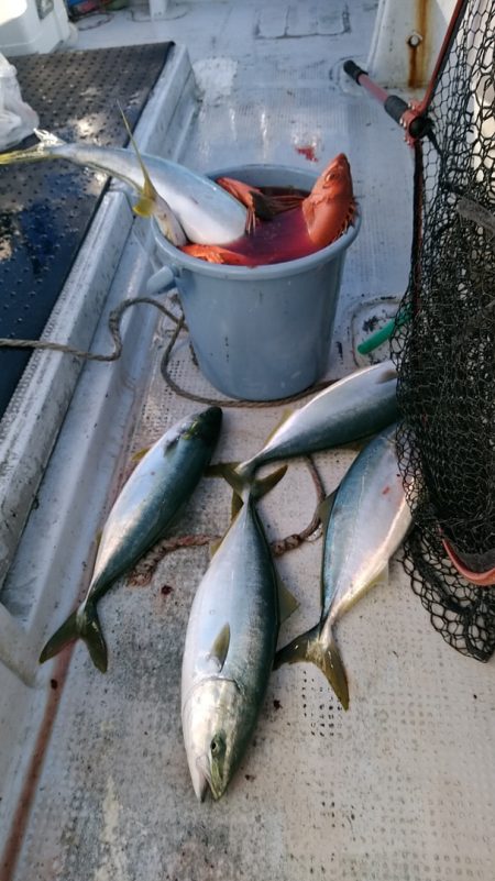 LUSTER『ラスター』 釣果