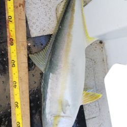 第二龍勢丸 釣果