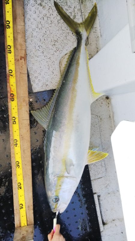 第二龍勢丸 釣果