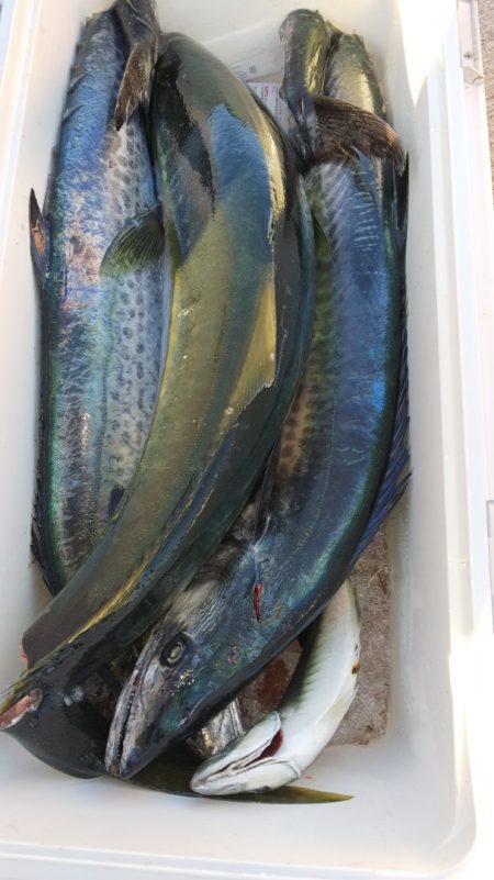 第二龍勢丸 釣果