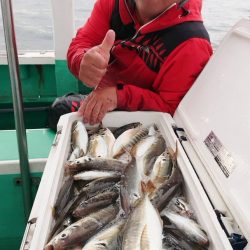 金沢八景鴨下丸 釣果