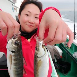 金沢八景鴨下丸 釣果