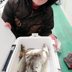 金沢八景鴨下丸 釣果