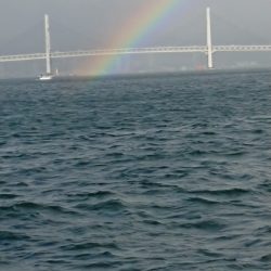 金沢八景鴨下丸 釣果