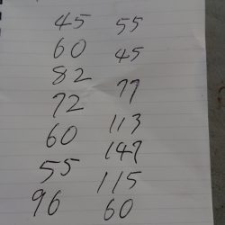 金沢八景鴨下丸 釣果