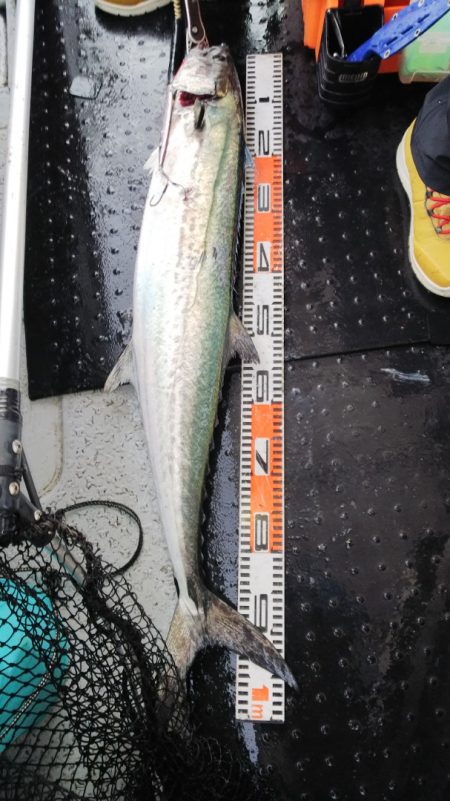 第二龍勢丸 釣果