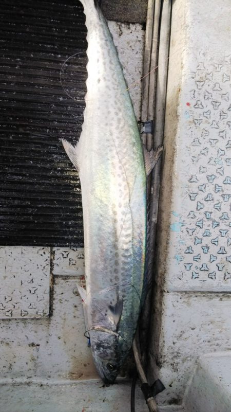 第二龍勢丸 釣果