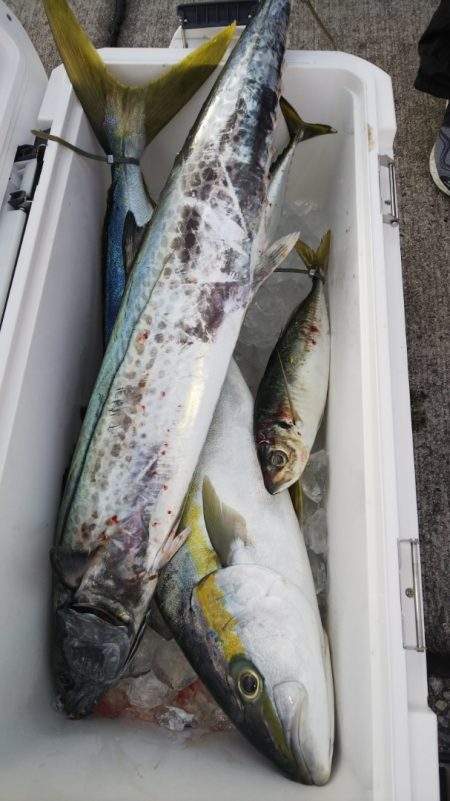 第二龍勢丸 釣果