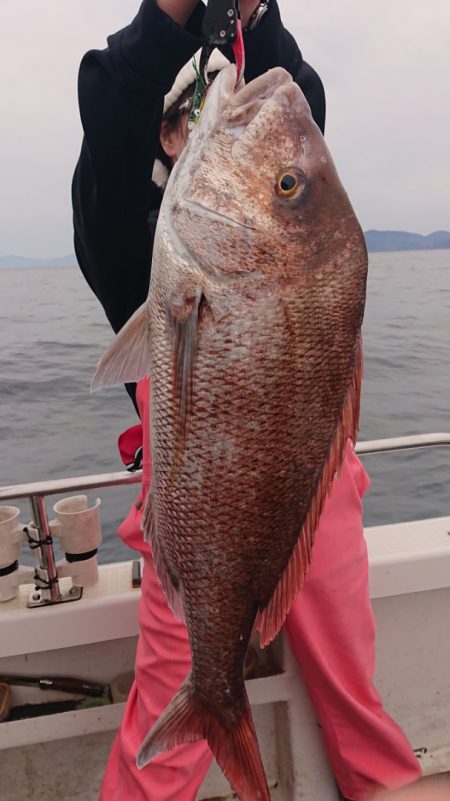 ARCADIAⅡ (アルカディアⅡ) 釣果