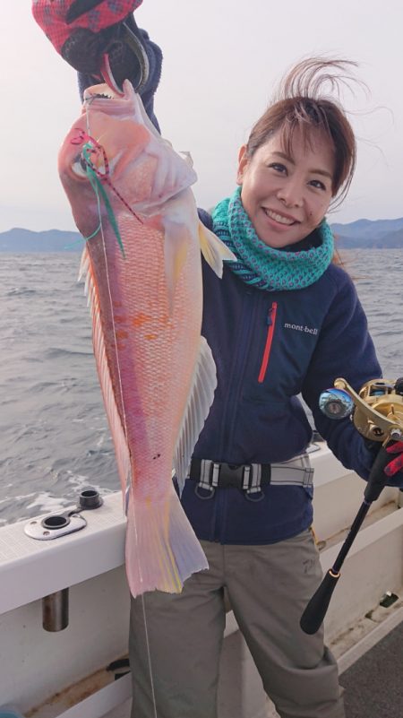 ARCADIAⅡ (アルカディアⅡ) 釣果