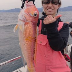 ARCADIAⅡ (アルカディアⅡ) 釣果