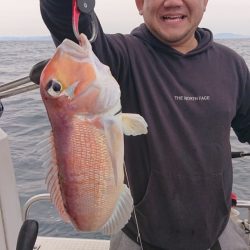 ARCADIAⅡ (アルカディアⅡ) 釣果