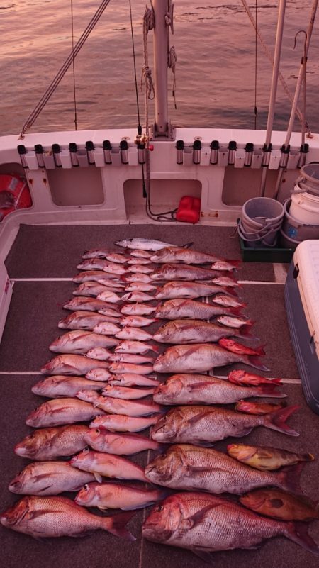 ARCADIAⅡ (アルカディアⅡ) 釣果