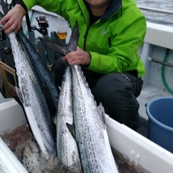 LUSTER『ラスター』 釣果