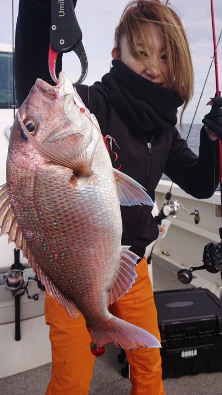 ARCADIAⅡ (アルカディアⅡ) 釣果