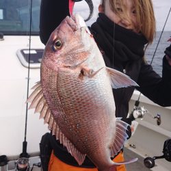 ARCADIAⅡ (アルカディアⅡ) 釣果