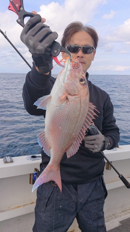 ARCADIAⅡ (アルカディアⅡ) 釣果