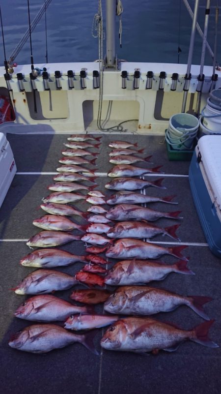 ARCADIAⅡ (アルカディアⅡ) 釣果