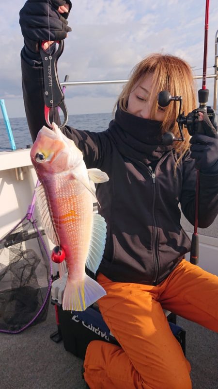 ARCADIAⅡ (アルカディアⅡ) 釣果