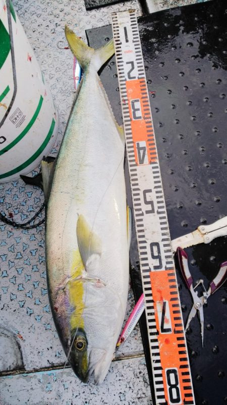 第二龍勢丸 釣果