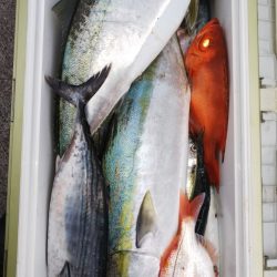 第二龍勢丸 釣果