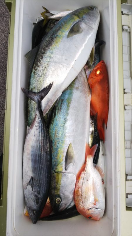 第二龍勢丸 釣果