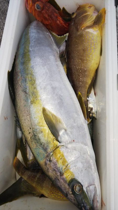 第二龍勢丸 釣果