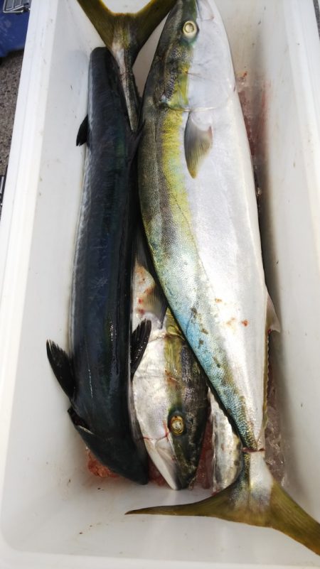 第二龍勢丸 釣果