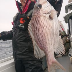 だて丸 釣果