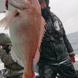 だて丸 釣果