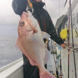 だて丸 釣果