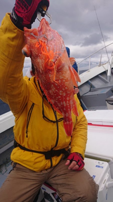 だて丸 釣果