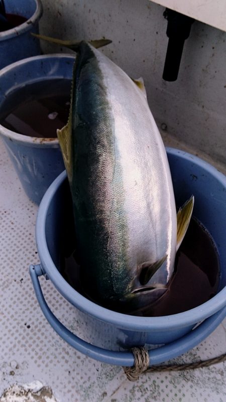 LUSTER『ラスター』 釣果