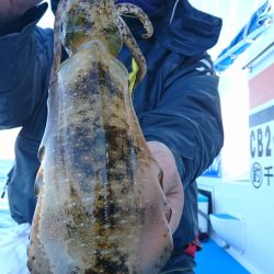 第三共栄丸 釣果