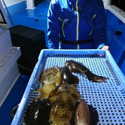 第三共栄丸 釣果