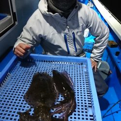 第三共栄丸 釣果