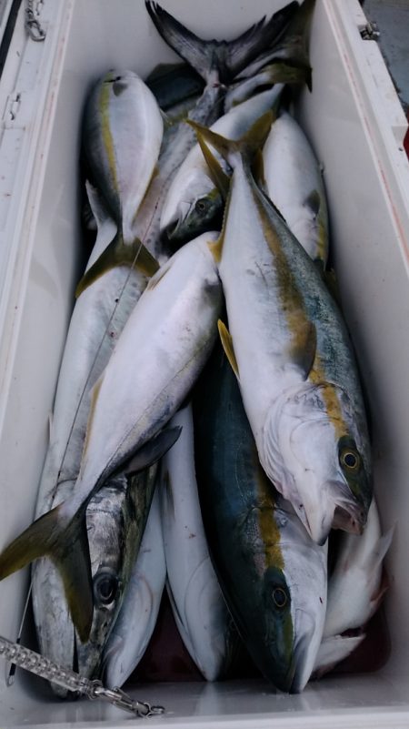 LUSTER『ラスター』 釣果