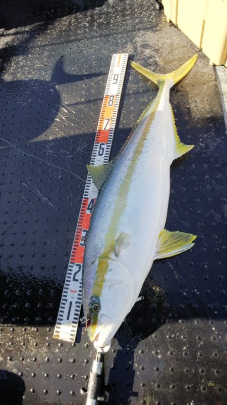 第二龍勢丸 釣果