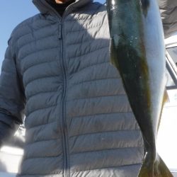 JDI Racing シールズマリンレジャー 釣果